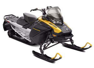 Skidoo Engines
