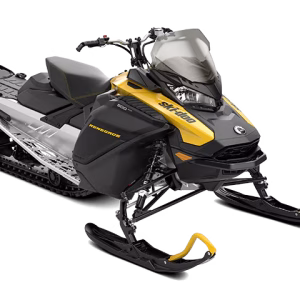 Skidoo Engines